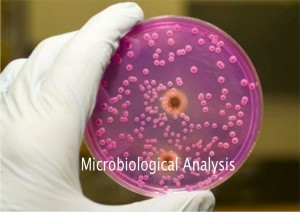microbio5-1024x723
