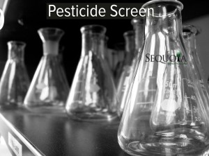 pesticideslide-1024x768